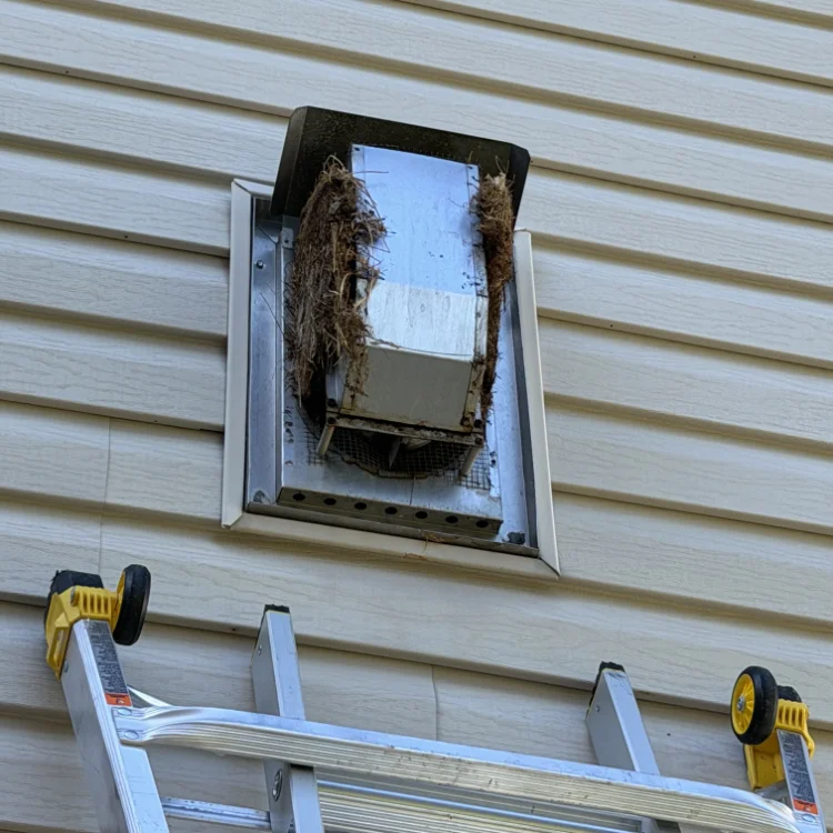 Chimney Services in St Louis, MO