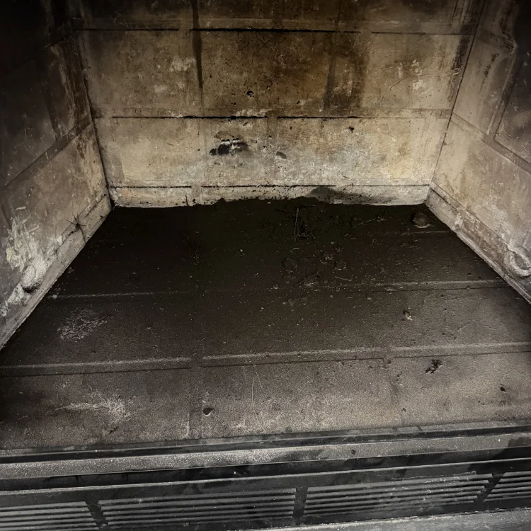 Chimney Services in St Louis, MO